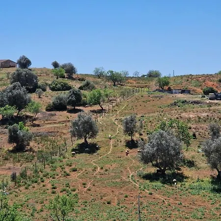 Casa Liberdade - Modern Townhouse With Terrace Roof Ferienhaus *